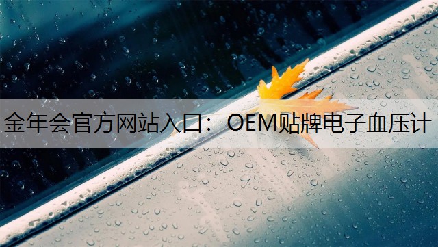 金年会官方网站入口：OEM贴牌电子血压计